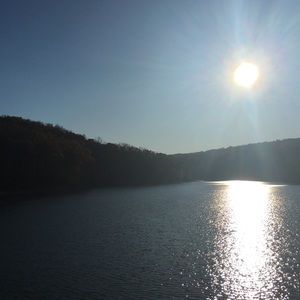 Meet your Posher, Paige